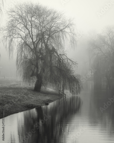 Foggy landscape © Lukasz