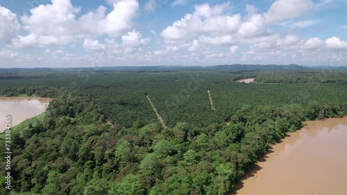 la rivière Kinabatangan, sur l'ile de Borneo en Malaisie. Sanctuaire écologique serpentant au milieu de la jungle primaire menacée par la production d'huile de palme. photo