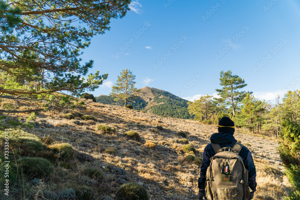 Back view, hiker walking on the mountains. Back view, hiker walking on the mountains.