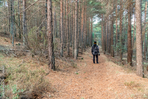 Rear view of a man walking through the forest, wearing a camouflage raincoat and wool hat. © MiguelAngel