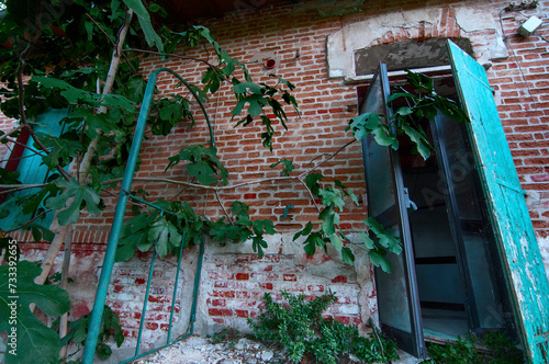 Esterno di casa in mattoni abbandonata con vegetazione incolta
