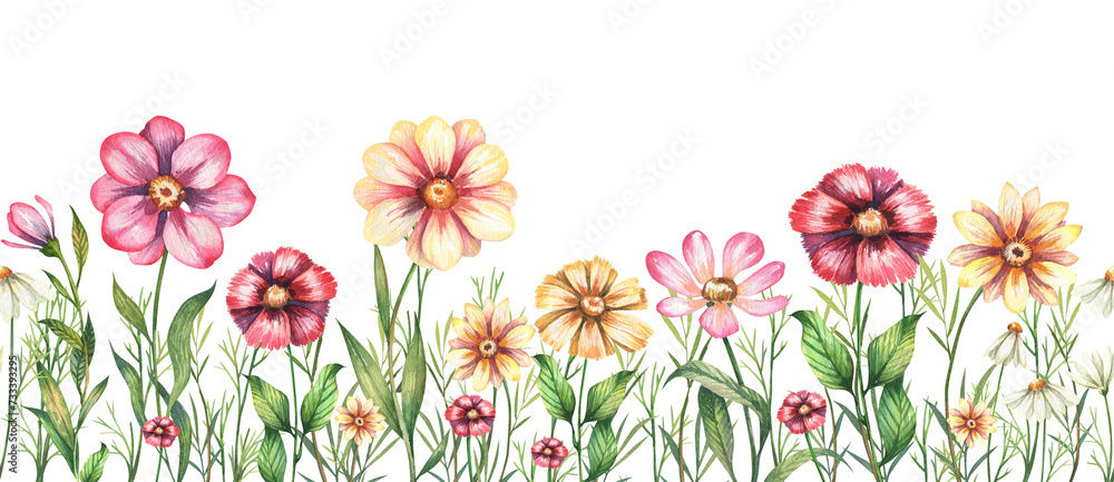 Watercolor meadow wild flowers border of arnica, daisy, calendula, carnation, sneezeweeds, chamomile. Hand painted floral card of wildflowers isolated on white background. Holiday spring illustration