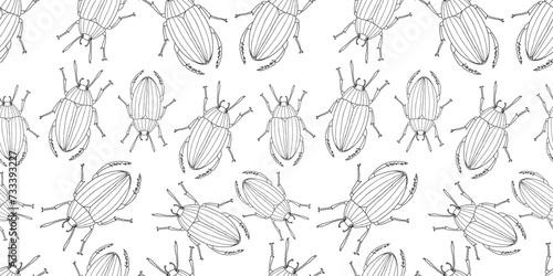 Seamless vector pattern of contour drawings abstract wild beetles black and white outlines isolated on white