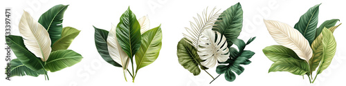 Beige green white tropical leaves Hyperrealistic Highly Detailed Isolated On Transparent Background Png File