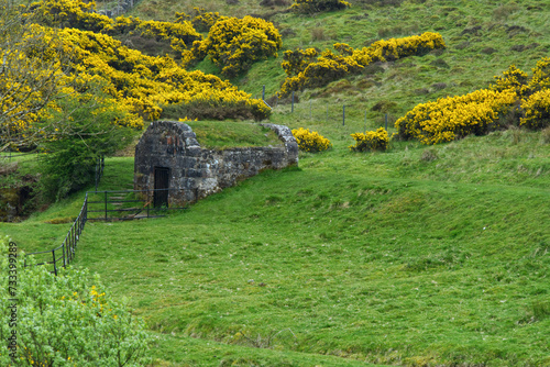 altes Steinhaus im Clyde muirshiel regional park, bei Greenock, Inverclyde, Schottland photo