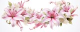 pink flowers and white lilies on white background