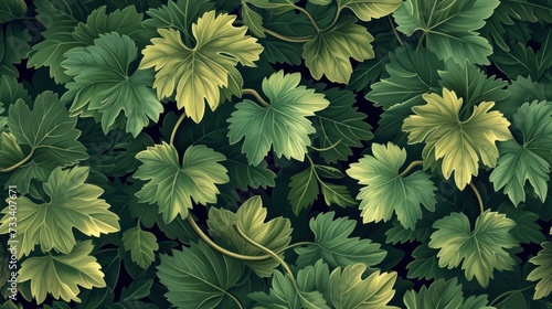  a close up of a green leafy plant with yellow and green leaves on it's sides and green leaves on the other side of the leafy plant.