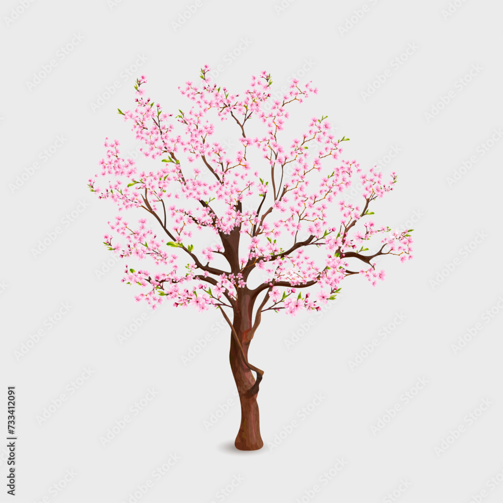 Obraz premium Realistic sakura tree. Blossom cherry in spring garden, branch pink flowers and leaves japanese nature flora, blooming twig sakuras trunk trees, floral exact vector illustration