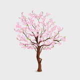 Realistic sakura tree. Blossom cherry in spring garden, branch pink flowers and leaves japanese nature flora, blooming twig sakuras trunk trees, floral exact vector illustration