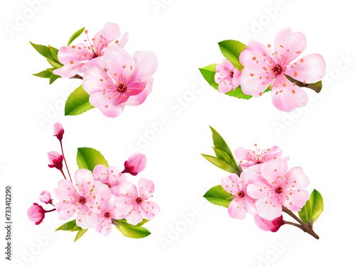 Φωτογραφία Realistic sakura bouquet