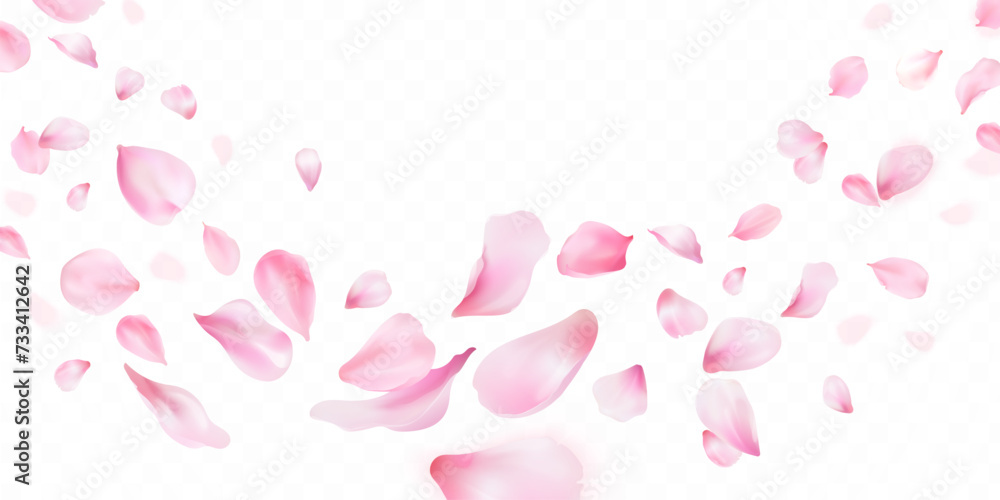 3d sakura falling petals. Realistic flying petal of blossom japanese cherry or rose flowers, panoramic wedding wallpaper or cosmetic ad spring background exact vector illustration