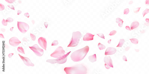 3d sakura falling petals. Realistic flying petal of blossom japanese cherry or rose flowers, panoramic wedding wallpaper or cosmetic ad spring background exact vector illustration photo