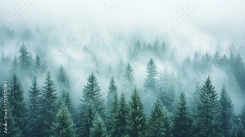 The ethereal beauty of a fog-shrouded forest, where ancient trees loom like sentinels in a world of mist and mystery