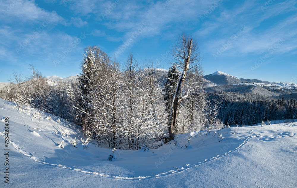Obraz premium Winter Gorgany massiv mountains scenery view from Yablunytsia pass, Carpathians, Ukraine.