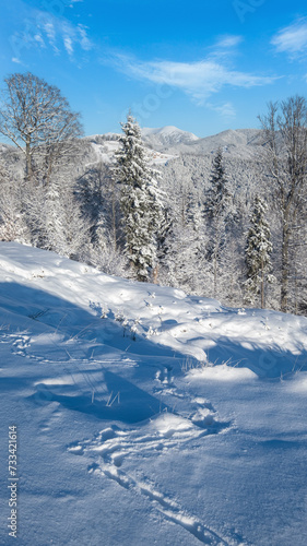 Wallpaper Mural Winter Gorgany massiv mountains scenery view from Yablunytsia pass, Carpathians, Ukraine. Torontodigital.ca