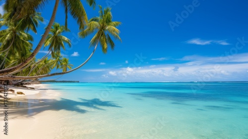 A tropical beach with palm trees and clear blue waters