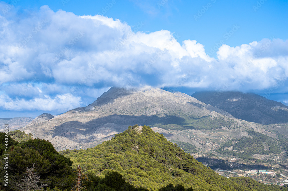 Panoramic view on pine forest on hiking trail to peak Torrecilla, Sierra de las Nieves national park, Andalusia, Spain