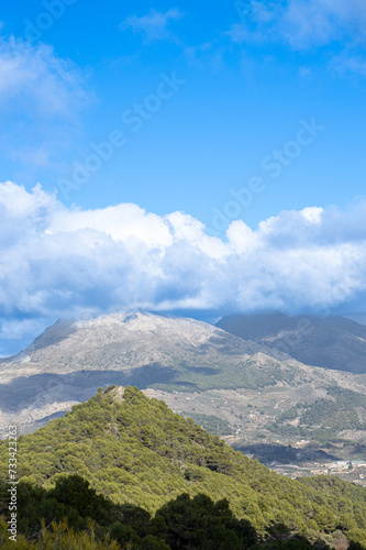 Panoramic view on pine forest on hiking trail to peak Torrecilla  Sierra de las Nieves national park  Andalusia  Spain