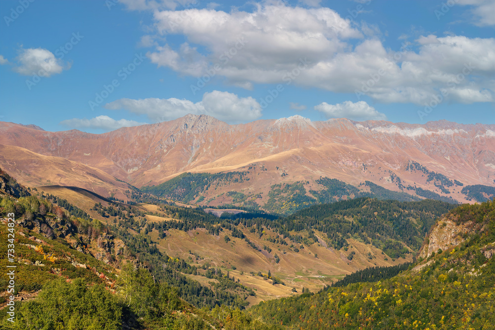 Fototapeta premium mountains, sky and green forest. Place for trekking tourism