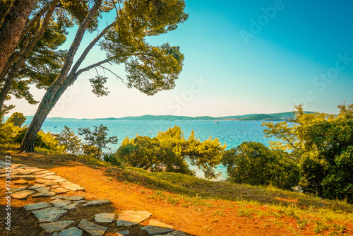 Fototapeta Naklejka Na Ścianę i Meble -  A Beautiful Display of Sun, Sea, and Pine Trees on Croatia's Coast, Pine Trees 