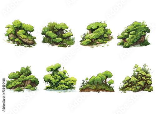 moss vector illustration isolated on white background. 
