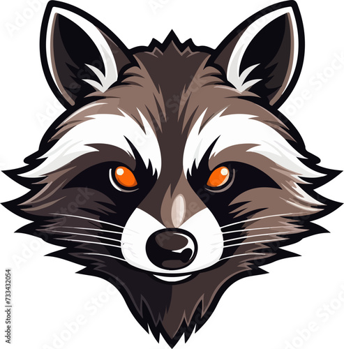 raccoon vector illustration isolated on transparent background. 
