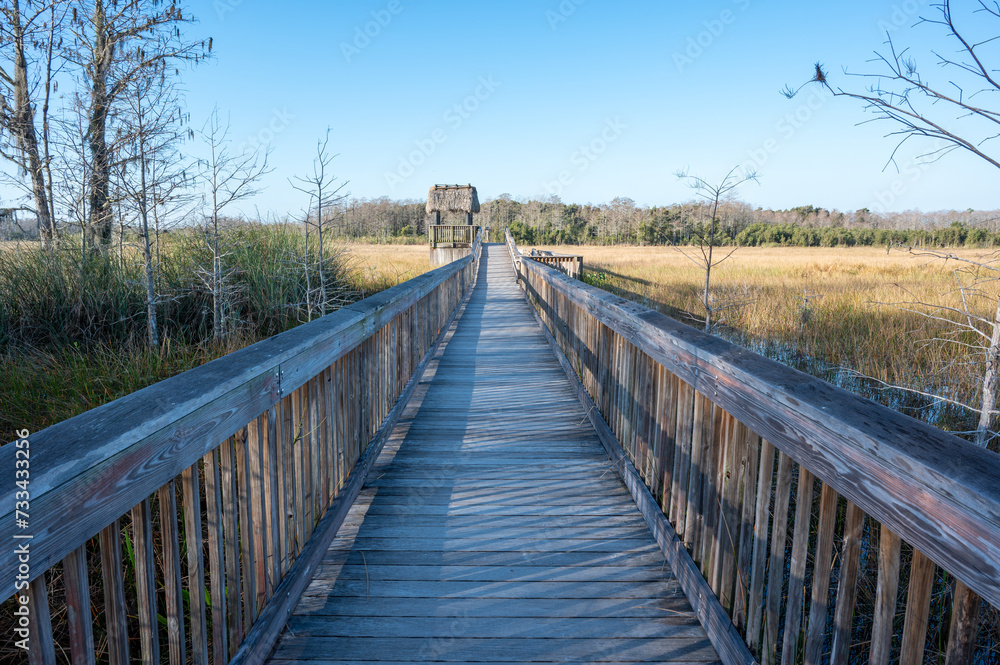 Boardwalk over wetlands of Grassy Waters Preserve in West Palm Beach, Florida on clear sunny winter morning.