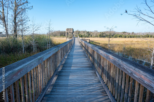 Boardwalk over wetlands of Grassy Waters Preserve in West Palm Beach, Florida on clear sunny winter morning. © Francisco