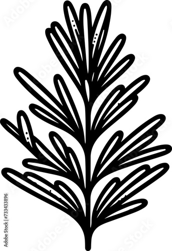 Rosemary herb vector doodle illustration.