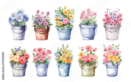 Garden flower bouquets in buckets. Isolated watercolor bouquet, spring summer backyard decorations. Planting and gardening, vector collection