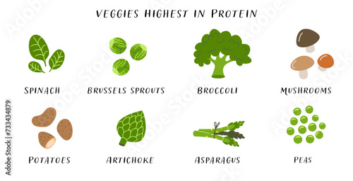 Various vegetables high in protein infographic. Flat design illustration with spinach  Brussels sprouts  broccoli  mushrooms  potatoes  artichoke  asparagus  peas. Nutrition and healthy eating concept