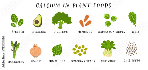 Vegan foods high in calcium. Nutritional healthy diet concept for design and print. Flat vector illustration of spinach, avocado, broccoli, almonds, Brussels sprouts, kale and asparagus. 
