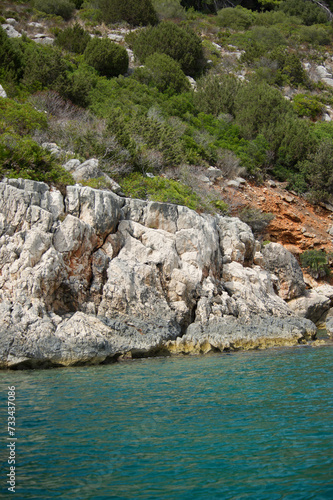 Mediterranean bush on the cliff at Cala Dragunara. Alghero, Sassari, Sardinia. Italy photo