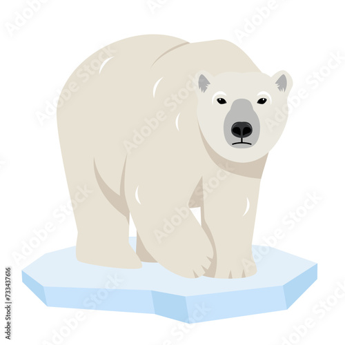 White Polar bear on ice floe. Wild polar Bear animal of the Arctic and the Arctic Circle. Vector icon illustration icon isolated on white background.