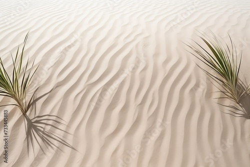 Serene zen pattern. tranquil white sands with lush palm leaves, ideal for meditation and relaxation