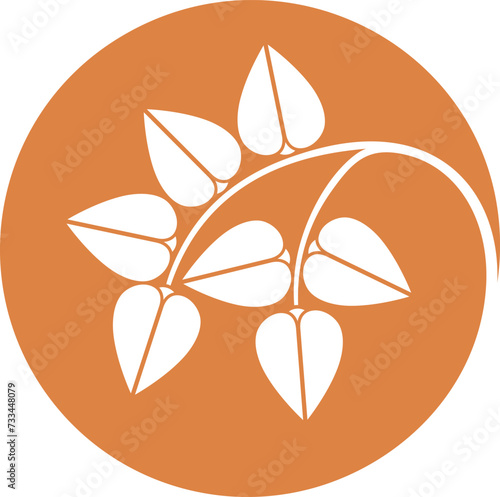 Buckwheat logo. Isolated buckwheat on white background