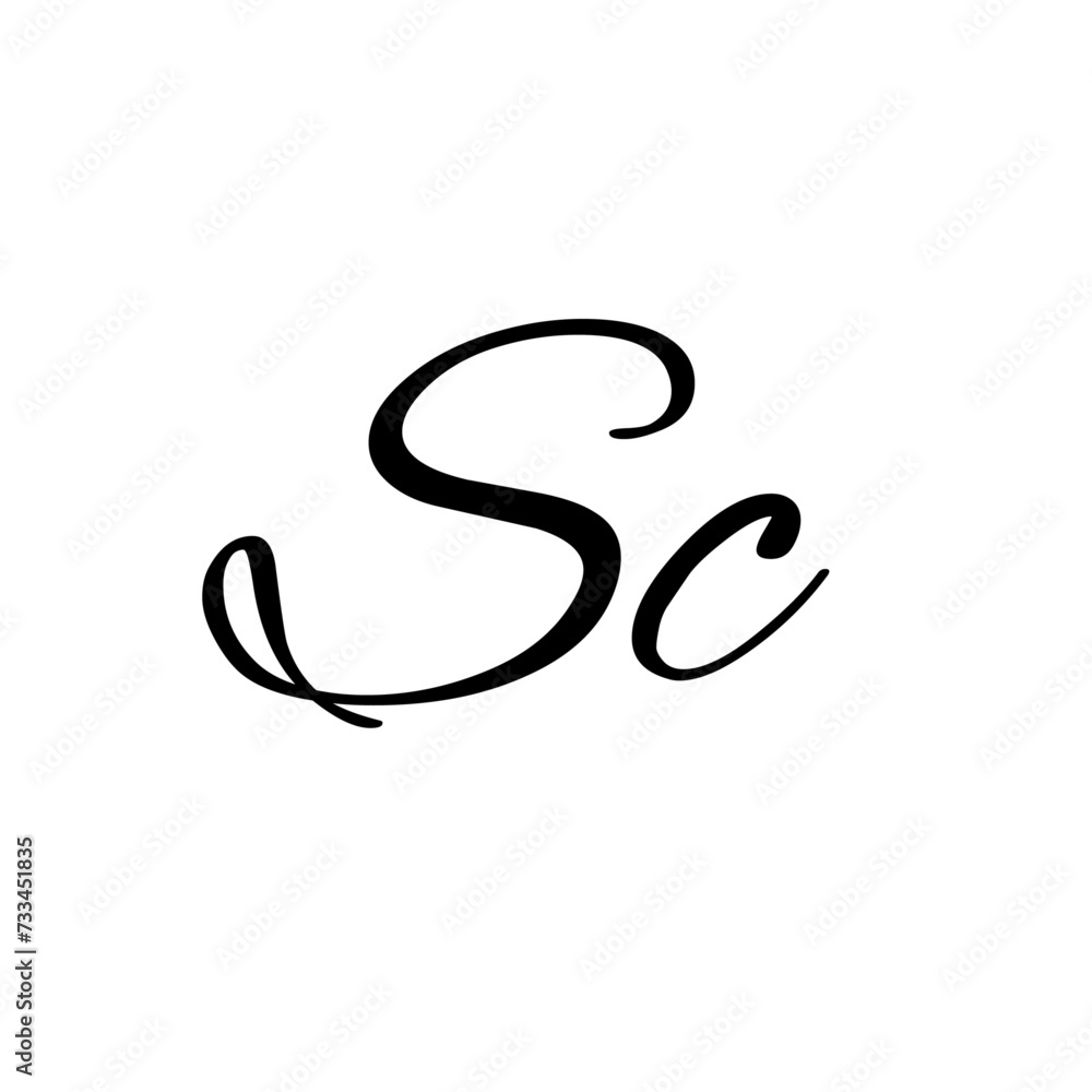 A hand-drawn signature logo design template A hand-drawn signature logo design template