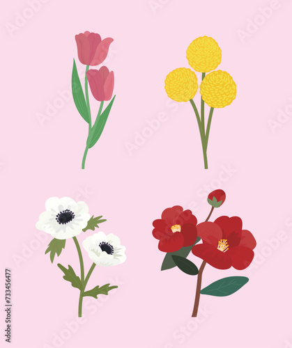 Types of flowers vector
