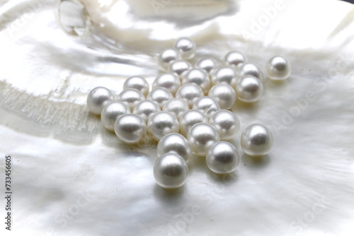 Expensive and luxurious saltwater South Sea pearls in a white shell, ready to be made into earrings, pendants or necklaces and sold in jewelry store. Popular feminine wedding accessory.