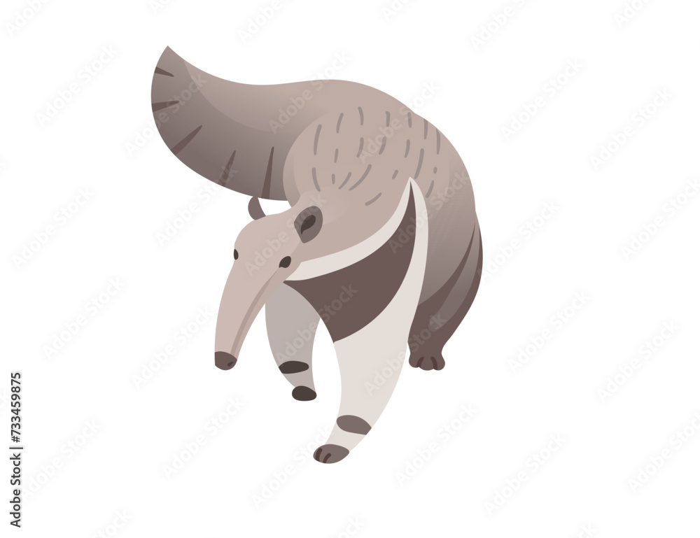 Anteater mammal cartoon animal design vector illustration isolated on white background Anteater mammal cartoon animal design vector illustration isolated on white background