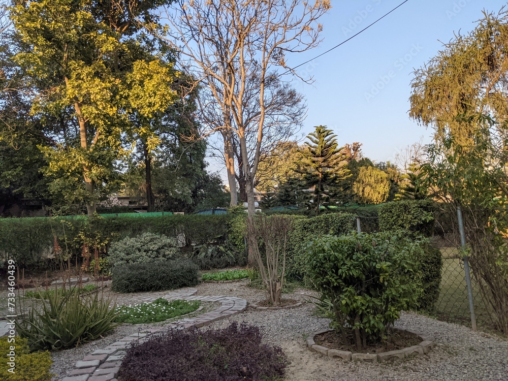 garden in autumn