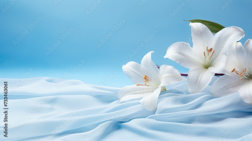 Obraz premium Graceful magnolia and lily banner: serene floral beauty with ample copy space, perfect for diverse creative projects and elegant designs.