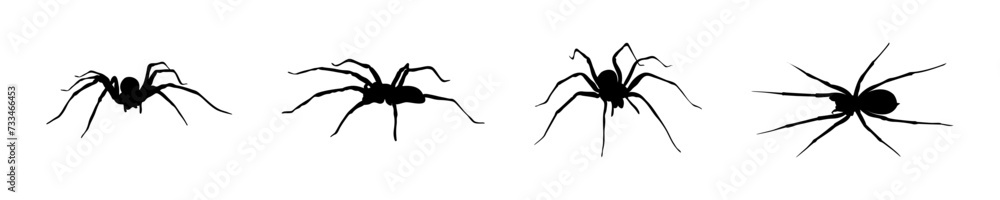 Spider silhouette. Spider vector icons. Spider illustration Spider silhouette. Spider vector icons. Spider illustration
