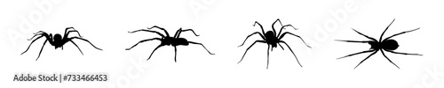 Spider silhouette. Spider vector icons. Spider illustration