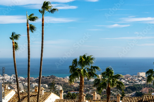 Palm trees on a hilltop overlooking the Mediterranean Sea in Benalmadena, Spain. Strong, gusty wind. © Iwona