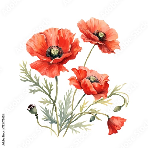 Watercolor poppies botanical illustration for greetings card, AI generated. 
