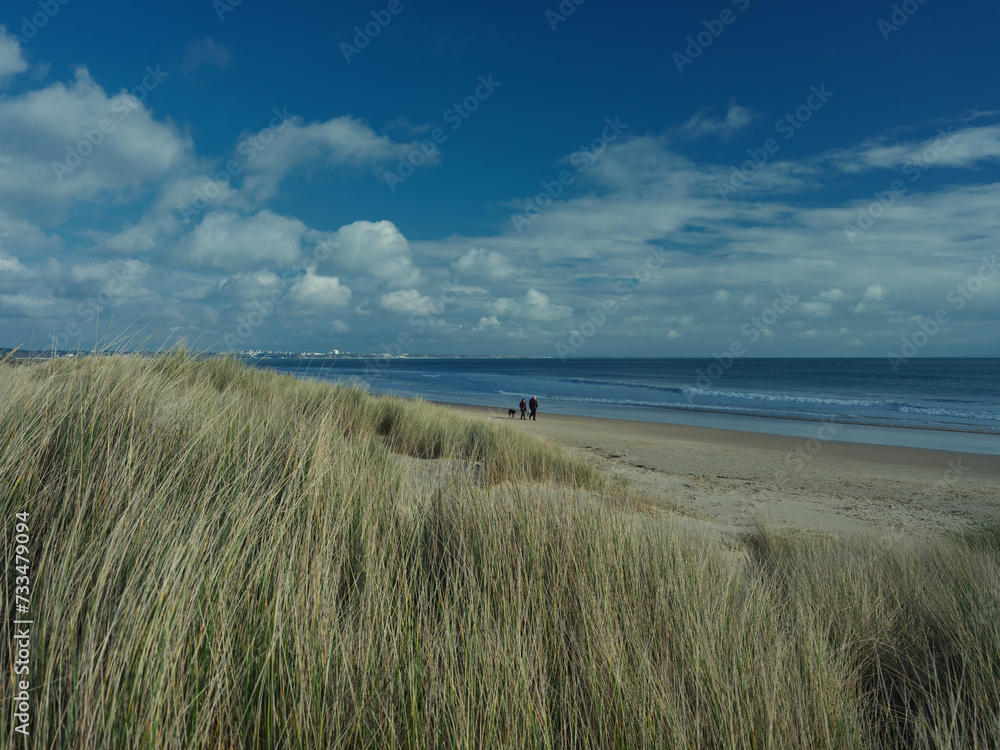 sand dunes the beach (Dorset, England)