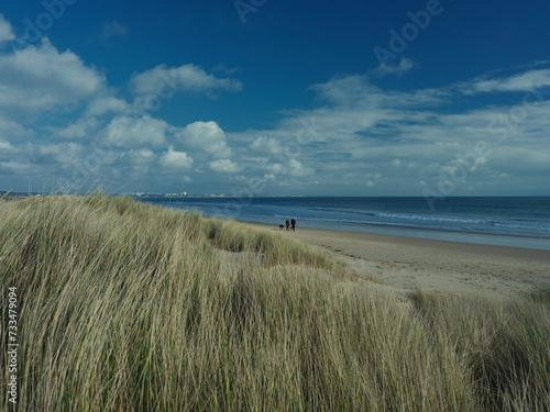 sand dunes the beach (Dorset, England)