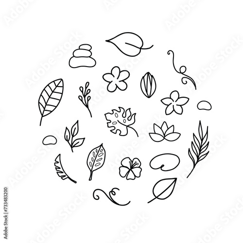 Simple hand drawn tropical floral vector design elements in doodle style. Set of leaves, flowers, branches and stones. For pattern, logo or decoration.
