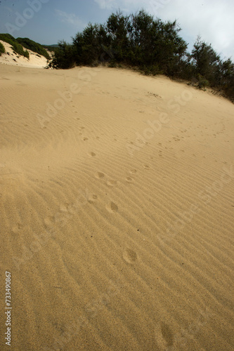 Dune di Piscinas a Ingurtosu..